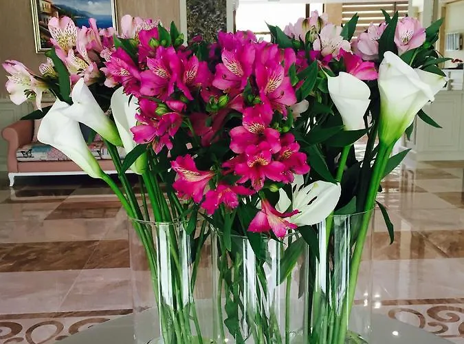 Siena Palace Primorszko