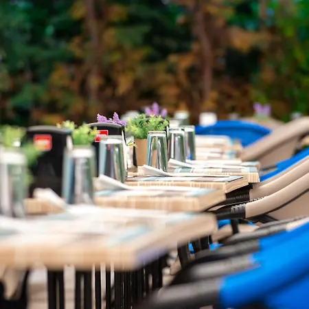 Siena Palace Отель 4*