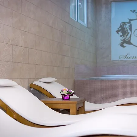 Отель Siena Palace 4*